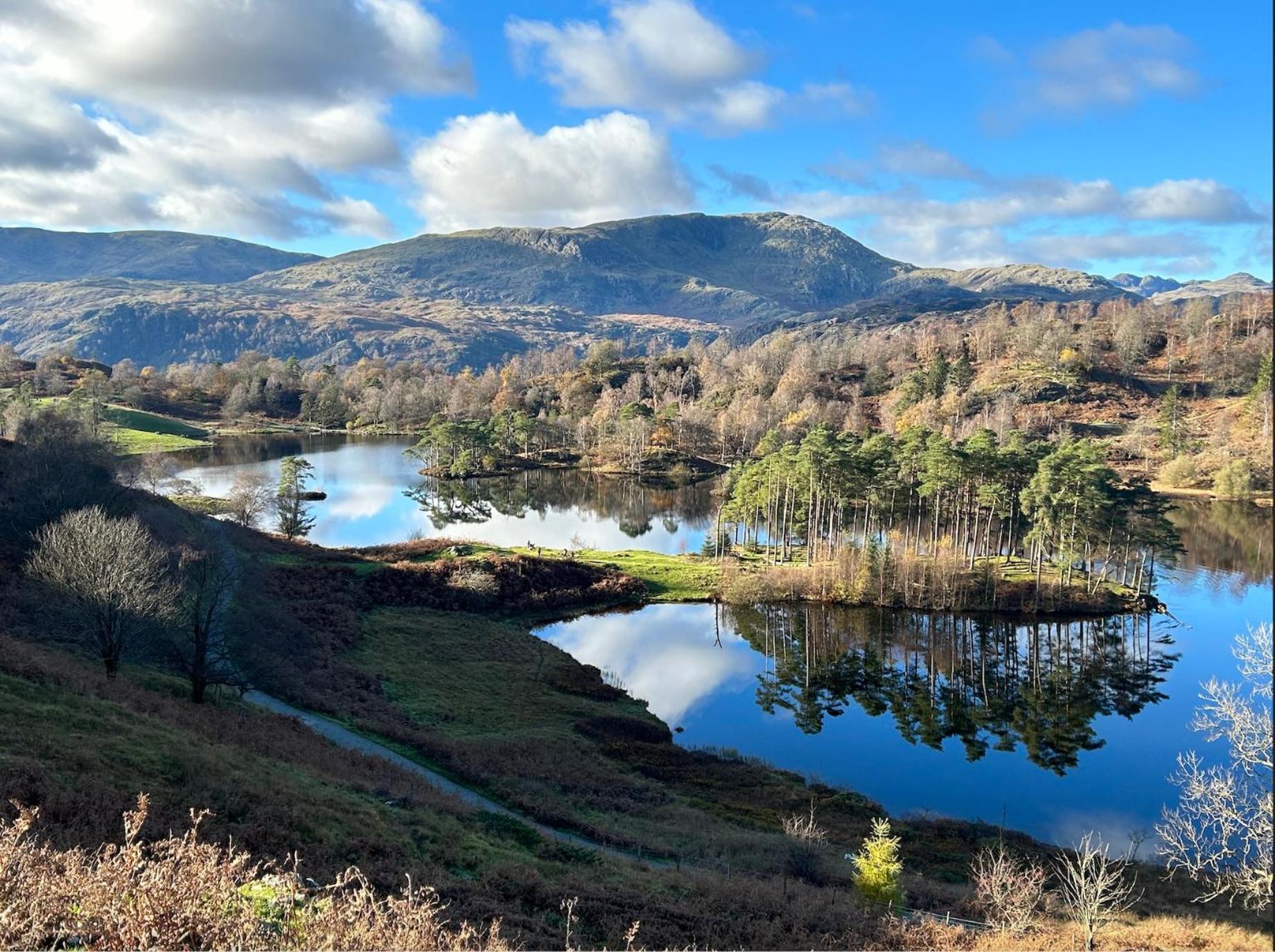 Yewfield Self Catering Apartments Hawkshead Eksteriør billede